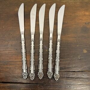 Ekco Eterna MARY ELLEN Stainless Steel Dinner Knives Set Of 5